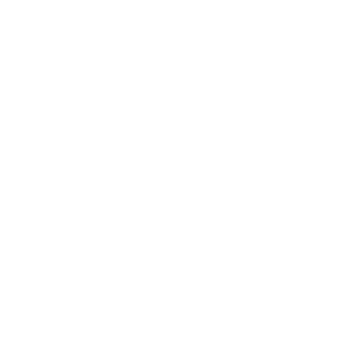 TikTok Logo